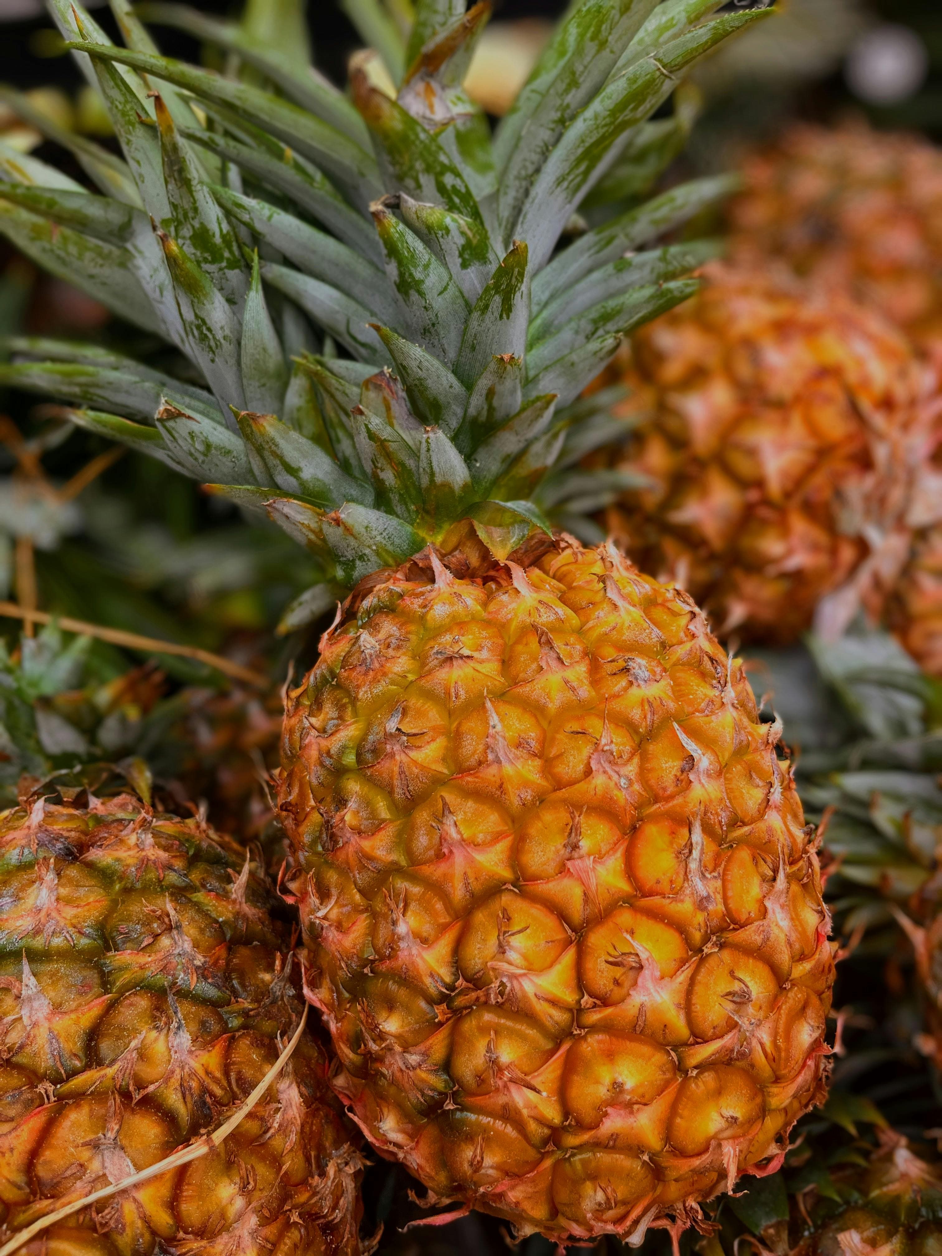 pineapple
